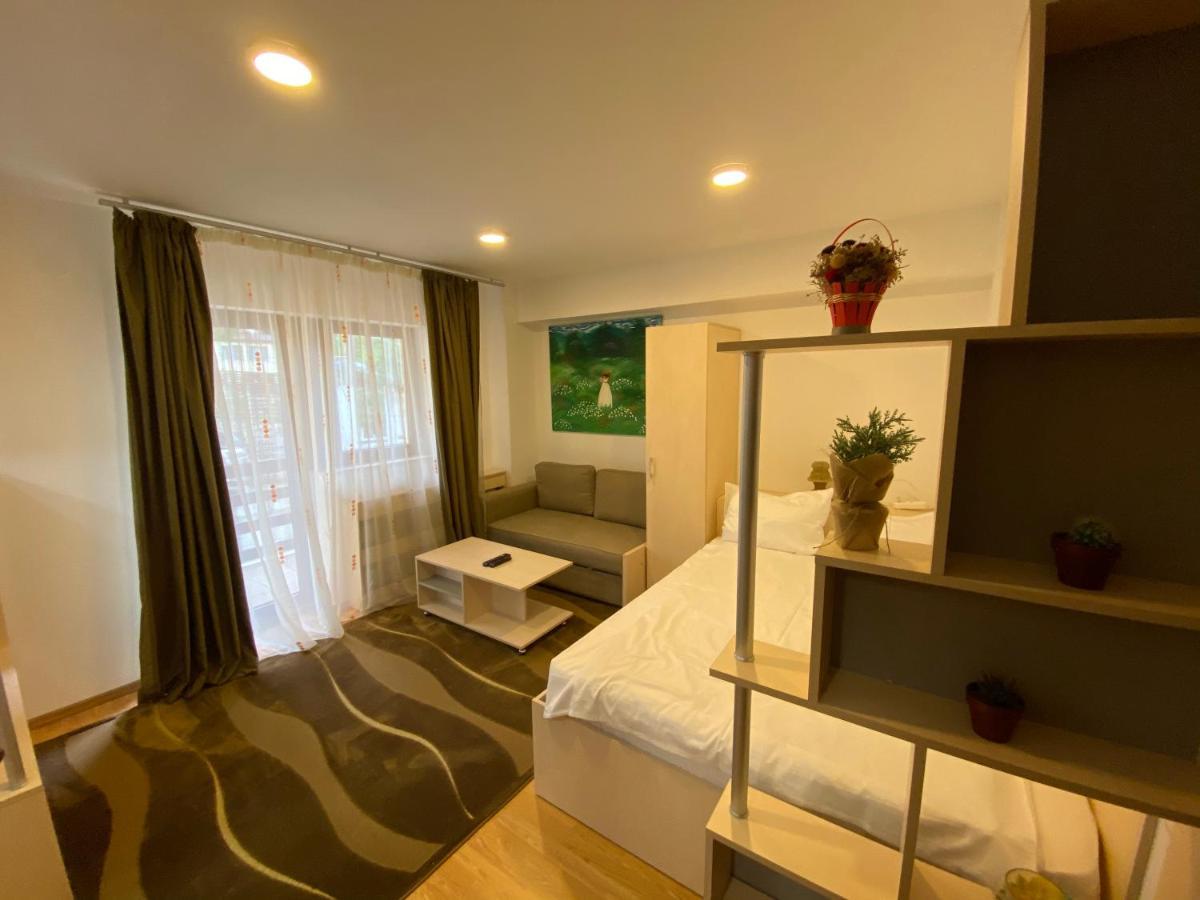 Sinaia Chic Minisuite Mirage-Self Check-In&Free Parking 外观 照片