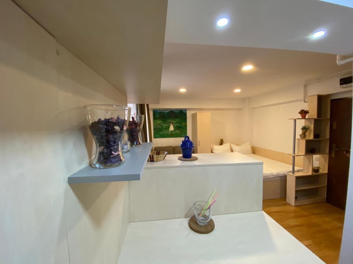 Sinaia Chic Minisuite Mirage-Self Check-In&Free Parking 外观 照片