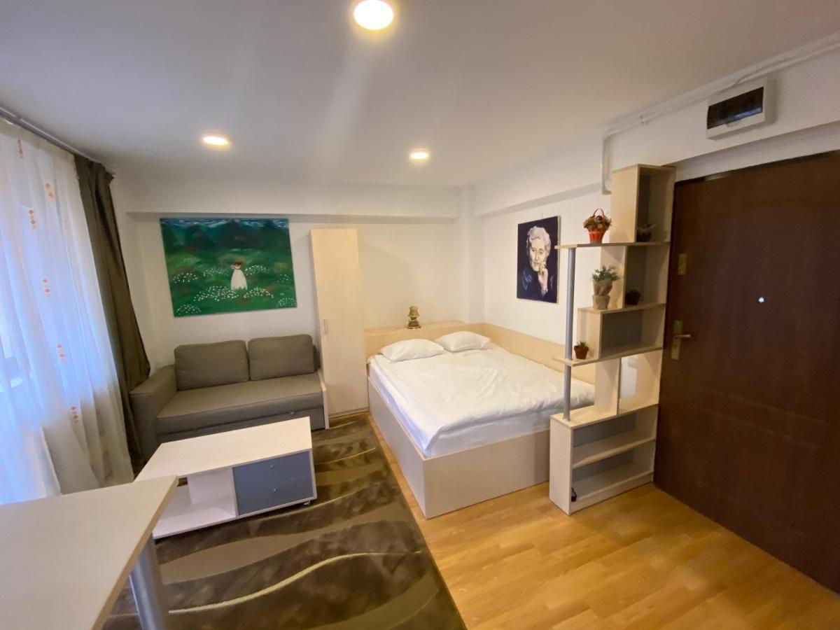 Sinaia Chic Minisuite Mirage-Self Check-In&Free Parking 外观 照片
