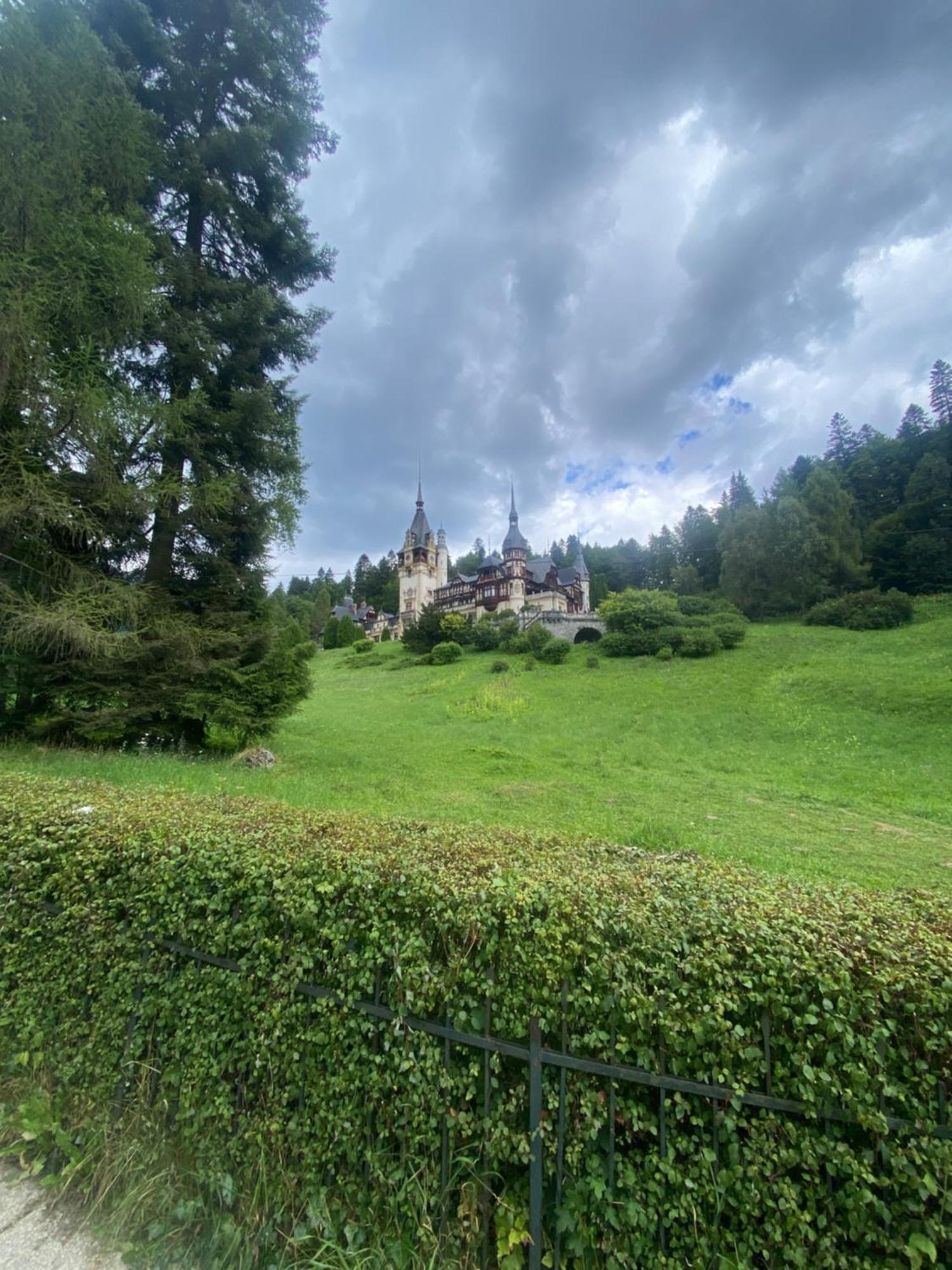 Sinaia Chic Minisuite Mirage-Self Check-In&Free Parking 外观 照片