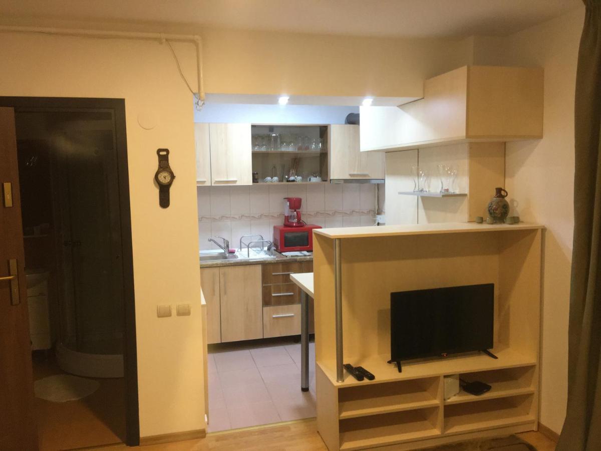 Sinaia Chic Minisuite Mirage-Self Check-In&Free Parking 外观 照片