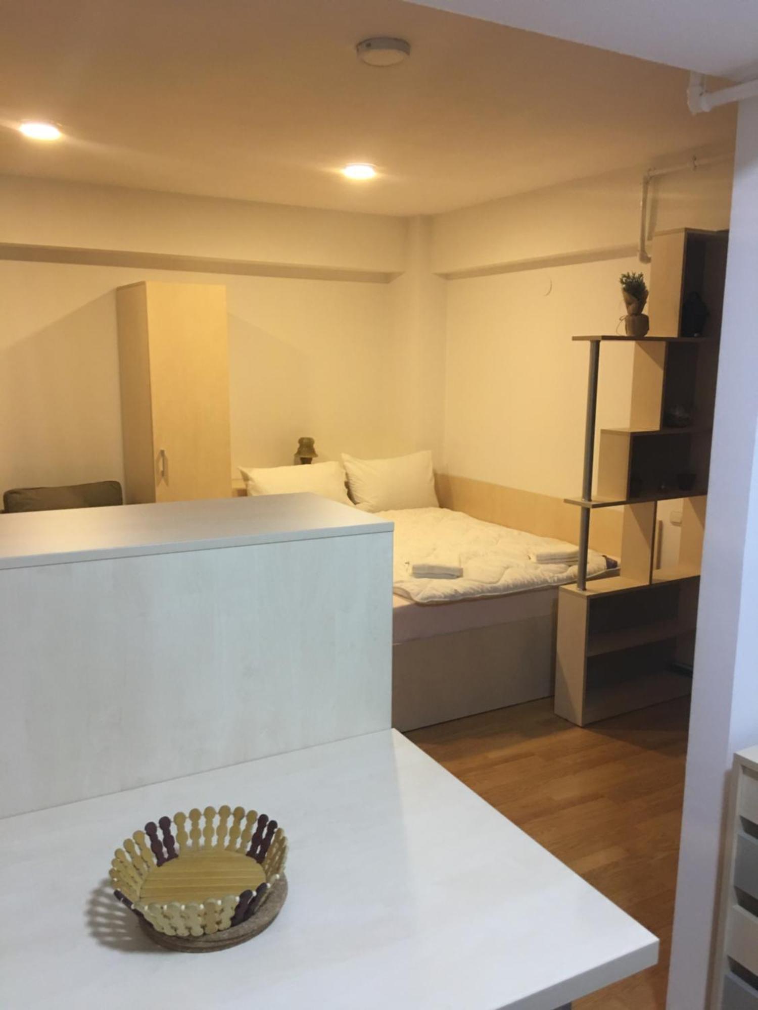 Sinaia Chic Minisuite Mirage-Self Check-In&Free Parking 外观 照片