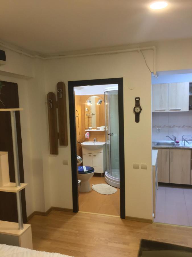 Sinaia Chic Minisuite Mirage-Self Check-In&Free Parking 外观 照片